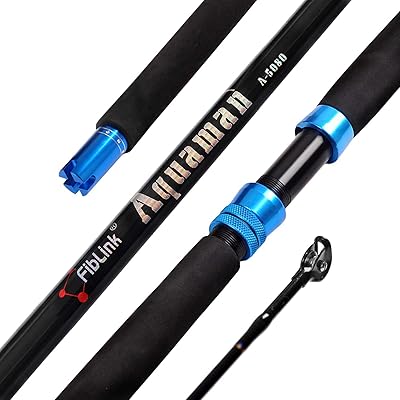 Canne à pêche en carbone eau salée fiblink 1 pièce