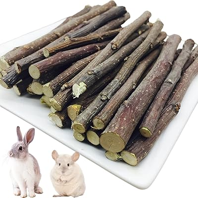 Bâtonnets de pomme 500g pour lapins, jouet à mâcher naturel pour petits animaux