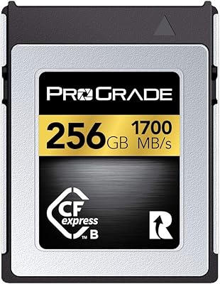 Carte mémoire progrid digital cf express type b, 256 go (or)
