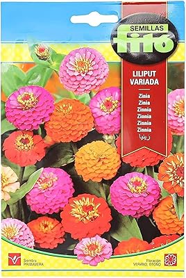 Semilas vito xenia lilliput variada