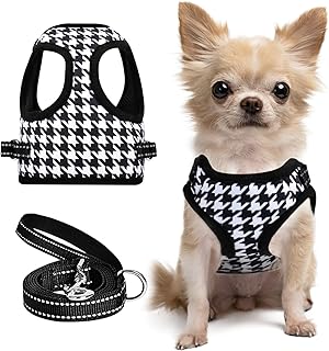 Harnais pour chien sibaoyu pour petits chiens, harnais pour chihuahua rayé avec laisse