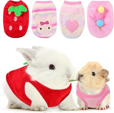 4 pièces vêtements cochon d'inde gilet chaud en flanelle polaire pour petits animaux