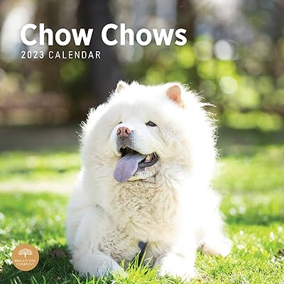 Calendrier mural chow chows by bright day 2022 12" x 12"