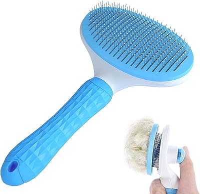Brosse autonettoyante à la sauge pour l'épilation des poils de chat, de chien