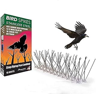Fils anti-escalade theresa en acier inoxydable pour oiseaux (6 pièces)