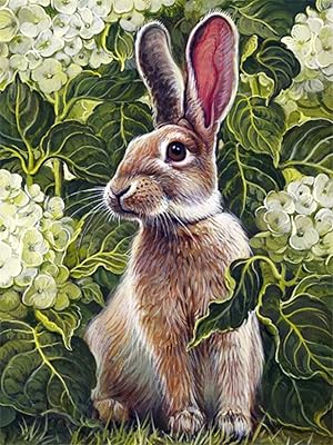 Komedo image par numéro kits de fleurs d'écureuil peint à la main peinture