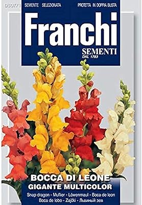 Graines mélangées géantes de franchi flower snapdragon