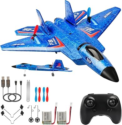 Avion de combat f22 rc prêt à voler, avion rc 2,4 ghz 2