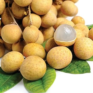 Paquet de fruits longanes