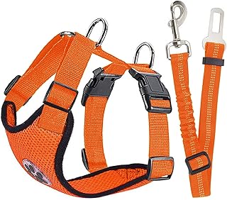 Ensemble de harnais de voiture pour chien hisami animal de compagnie avec sécurité
