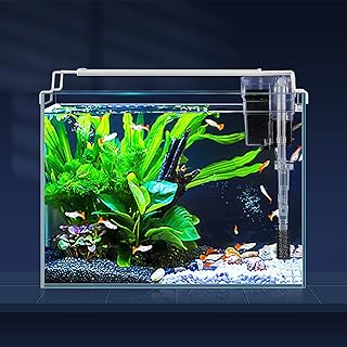 Kit d'aquarium en verre sans rebord lacoal (3 gallons) kit ultra