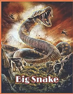 L'histoire intéressante de big snake : (livre mystère)