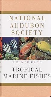 Guide de terrain de la national audubon society sur les poissons marins tropicaux