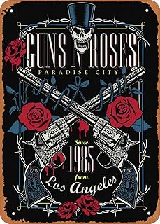 Affiche en métal wanfst guns n roses guns n roses, décoration murale artistique