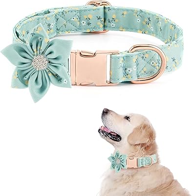 Collier pour chien pour filles avec boucle en métal amovible et réglable