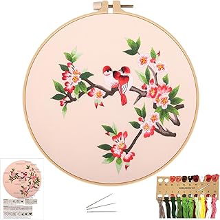 Kit de point de croix pour débutants pour adultes kit de broderie