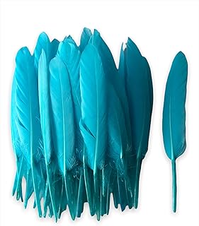 50pcs plumes d'oie colorées pour l'artisanat la fabrication de bijoux taille