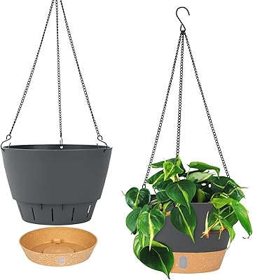 Ensemble de pots de fleurs suspendus d'intérieur et d'extérieur de 10 pouces