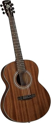 Bristol by blueridge bf-15 guitare acoustique 6 cordes