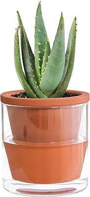 Divine dave pot à arrosage automatique de 4 pouces pour plantes d'intérieur, jardinière