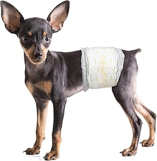 Couches jetables mamo bear pour chiens et chiots - bandes d'incontinence super absorbantes