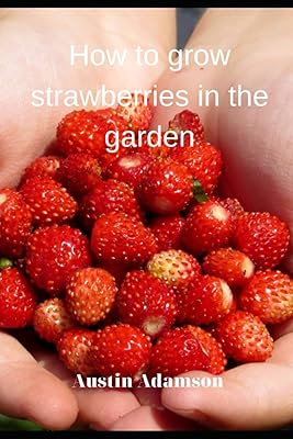 Comment faire pousser des fraises dans le jardin