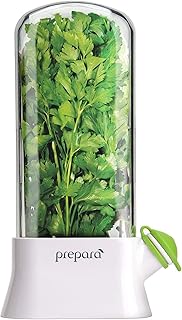 Le meilleur conservateur d'herbes pour les produits frais - une innovation qui fonctionne