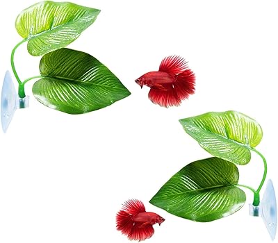 Paquet de 2 feuilles de poisson mikacos betta qui améliorent la santé