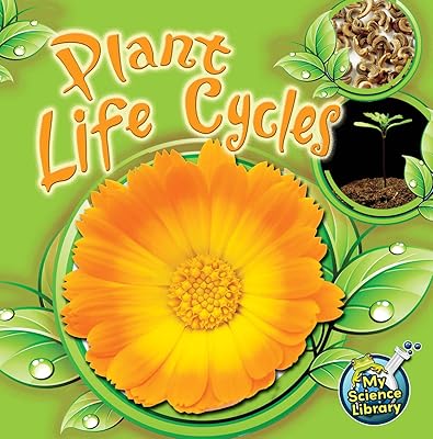 Cycles de vie des plantes