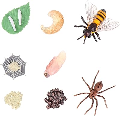 8 pièces kit de cycle de vie des insectes cycle de vie