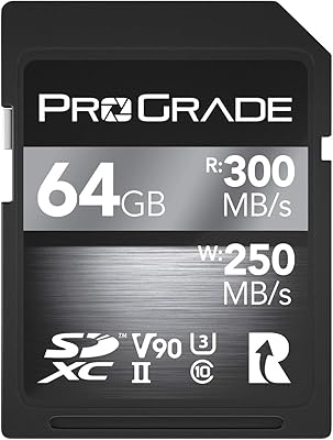 Carte mémoire sdxc progid uhs-ii v90 300r (64 go)