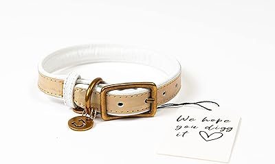 Collier pour chien en cuir véritable digg (or blanc m)