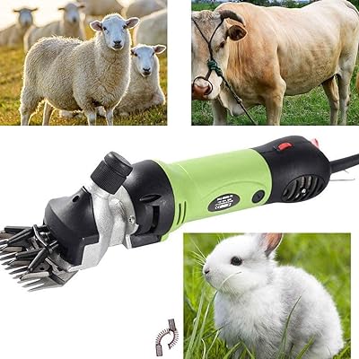 Tondeuse électrique à poils de mouton de 500 watts sûre et très efficace