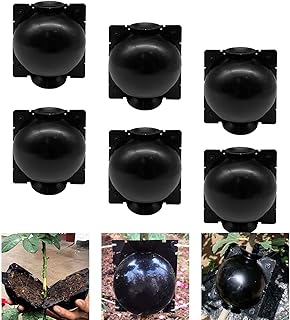 Boîte de culture de racines de plantes 6 pièces, boîte à billes