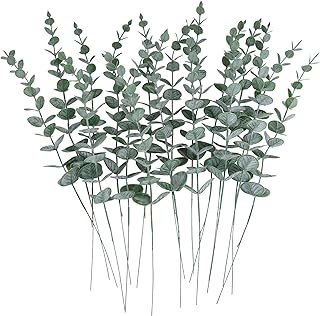 Lot de 12 tiges d'eucalyptus gris véritable avec sensation de feuilles vertes, plantes