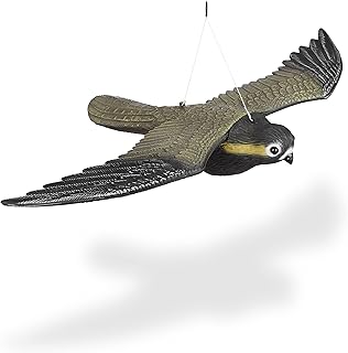 Répulsif anti-oiseaux relax days falcon, épouvantail oiseau de proie, taille réelle, multicolore