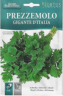 Graines de persil hortus de qualité supérieure (prisimolo gigante d'italia) (fabriquées en italie)