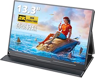 Moniteur portable evisafe 133 2k 2560 x 1600 fin et léger avec panneau
