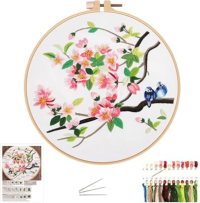 Kit de broderie pour débutants avec motif et instructions, kit de point