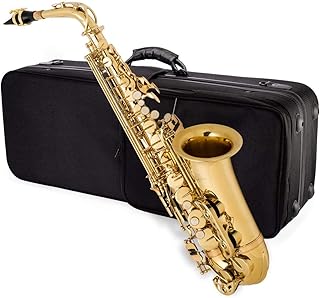 Saxophone alto mike music en laiton doré avec sac de transport