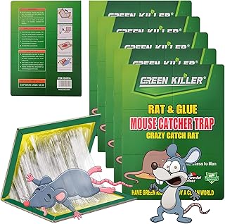 Pièges à souris d'intérieur homarket 10 pièces de pièges colle pour rats
