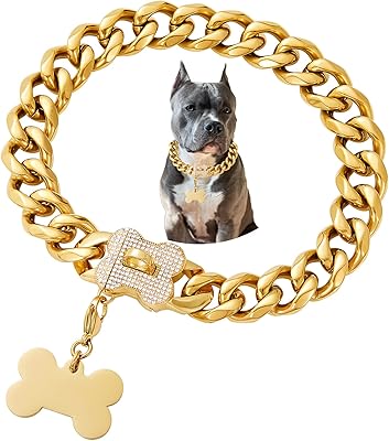 Collier de laisse pour chien en or pour chiens de taille moyenne