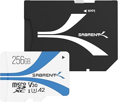 Carte mémoire seprint rocket r100 mo s w30 256 go microsdxc v30