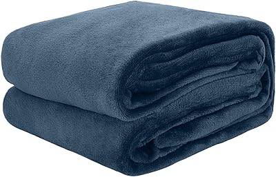 Couverture polaire en flanelle taille unique (160x220) pour toutes les saisons, couverture chaude