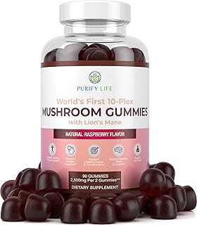 Premier complément alimentaire complexe de champignons au monde - 10 suppléments de champignons