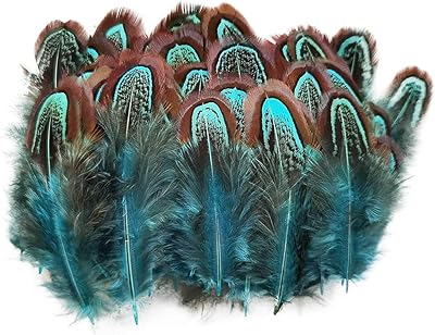 Alykdon 100 pièces plumes de faisan naturelles 2-4 pouces plumes de plumes