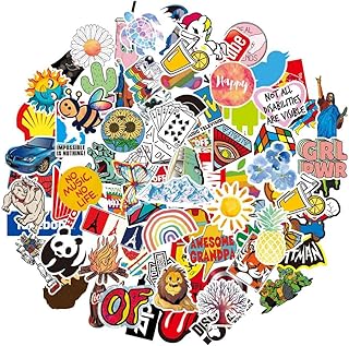 Lot de 100 autocollants variés pour adultes adolescents garçons et filles en vinyle