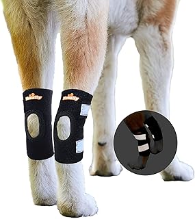 Nouveau support de crochet pour chien sports lab - jambe arrière, noir, taille