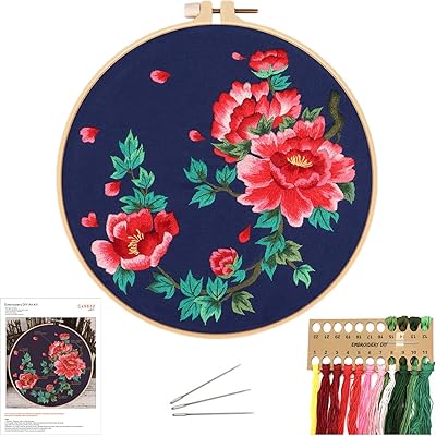 Kit de broderie pour débutants avec instructions de motif, kits de point