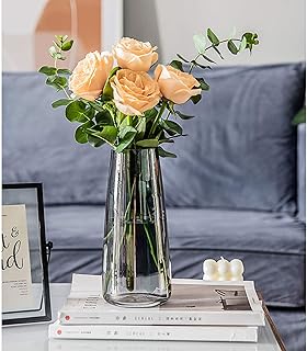 Vase en verre yuming vase à fleurs transparent de 22 cm